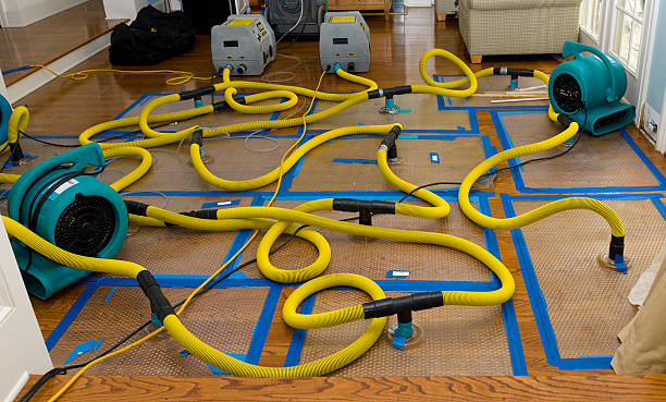 Professional Water Damage Repair technician working in Harper, KS