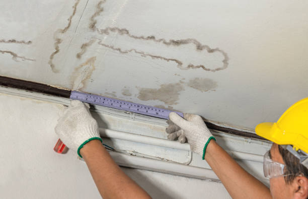 Affordable Water Damage Repair solutions in Harper, KS